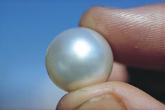 To discover more about pearls visit the Pearl Lugger Museum in Broome Western Australia