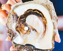 Book this fun experience witnessing a pearl being harvested right before your eyes.  Perth's award winning website Sightseeing Pass Australia can book all your tours for you hassle free.