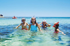 Grab an early ferry to Rottnest Island with Sightseeing Pass Australia