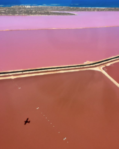 Book this beautiful scenic flight over the Hutt Lagoon Pink Lake with Sightseeing Pass Australia 
