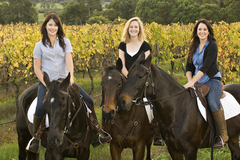 Jump on a horse ride next time your visiting the Margaret River Region.  Book online to avoid disappointment. Sightseeing Pass Australia