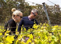 Margaret River Winery Tours Electric Bike or Mountain Bike.  Book today with Sightseeing Pass Australia.
