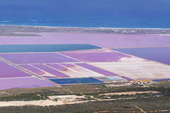 Pink Lake Scenic Flight is the only true way to see the beauty and colours