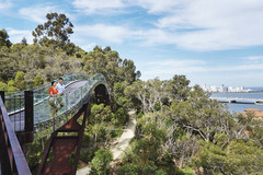 Discover Kings Park with this all inclusive Discover Perth Tour with Sightseeing Pass Australia