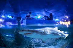 AQWA Aquarium Perth - Glass Bottom Boat Experience. Book online today with Sightseeing Pass Australia