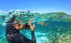 Grab the best shot by joining an expert tour company and get up close to the tropical fish at Ningaloo