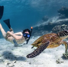 Join a 3 hour Turtle Ecotour at Ningaloo Reef.  Book online with Sightseeing Pass Australia today and SAVE!