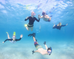 Snorkelling is fun when you join a guided Turtle Ecotour at Ningaloo Reef
