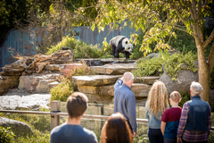 Purchase your entry to Adelaide Zoo with Sightseeing Pass South Australia