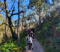 Book your Hike & Wildlife Tour in Adelaide with Sightseeing Pass South Australia today