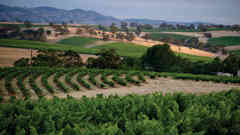 Book your Barossa Food & Wine Experience with Sightseeing Pass Australia now