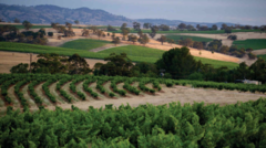 Book your Barossa Food & Wine Experience with Sightseeing Pass South Australia now