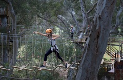 Adelaide Zoo, Tree Climb, Adventure Cruise