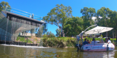 Spend a couple of hours cruising Adelaide's River Torrens with BBQ Buoys and Sightseeing Pass Australia