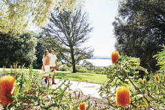 Visit Kings Park on this half day tour of Perth.  Book online today with Sightseeing Pass Australia.