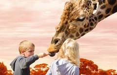 * FAMILY PASS * Adelaide Zoo, Popeye Cruise & TreeClimb Adventure