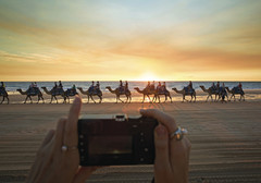 Broome's stunning sunsets are enjoyed best on a camel ride so book your tour with Sightseeing Pass Australia today.