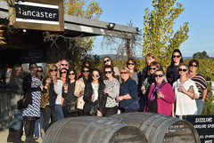Grab a bunch of friends and join the wonderful team at Swan Valley Wagon Tours and tour the Swan Valley wine region by horse and cart.  Bookings can be made online with us just visit www.sightseeingpassaustralia.com 