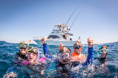 The magical Ningaloo Reef where a snorkelling tour can get you this close to the marine life.  Book a spot on this Ningaloo Reef Eco tour today with Sightseeing Pass Australia.