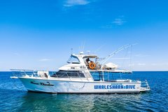 Ningaloo Whaleshark-n-Dive Exmouth | Sightseeing Pass Australia