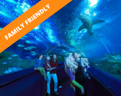 SAVE 15% when you buy a Family Attraction Pass when you holiday in Perth