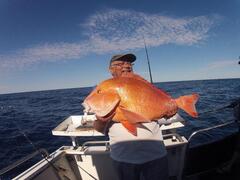 Book a fishing trip on your next visit to Kalbarri with Reefwalker Tours.  Book online today visit Sightseeing Pass Australia.