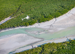 Arrive in style at Willie Creek Pearl Farm for an incredible scenic flight and tour of this fascinating business.  Book online today with Sightseeing Pass Australia.