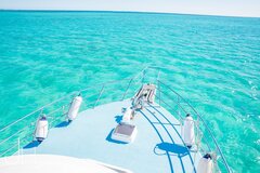 Western Australia and the Ningaloo reef really is the best place to swim with whale sharks, humpback whales, turtles and the best coral reefs in Australia.  Book your tour online today to avoid missing out.  Visit Sightseeing Pass Australia for details.