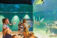 Visit the Bunbury Dolphin Discovery Centre with the kids these school holidays.  Book your tickets online today with local agent Sightseeing Pass Australia.