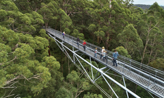 Enjoy the beauty of the Southern Forests near Denmark by walking amongst the treetops at the Valley of the Giants attraction.  Fun for all the family and you can purchase your tickets online before you arrive with us at www.sightseeingpassaustralia.com