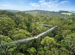 Enjoy the beauty of the Southern Forests near Denmark by walking amongst the treetops at the Valley of the Giants attraction.  Fun for all the family and you can purchase your tickets online before you arrive with us at www.sightseeingpassaustralia.com