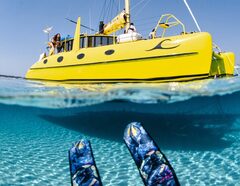 Rottnest Island Day Pass includes return ferry with Sail and Snorkel Tour by Catamaran.  Book online today with Sightseeing Pass Australia for instant confirmation and local service! 