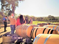 Grab some friend and join this Half Day Margaret River Tour with Tastings, Wineries, Forests & Lunch