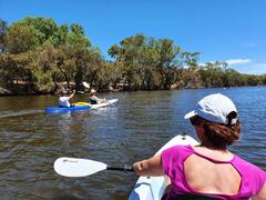 GoGo Active Tours Kayaking Mandoon Winery and Kayak Tour Perth