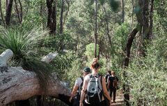 Join the award winning Hike Collective team treating yourself to a guided walk and nature trail.  Bookings essential so jump online today visit Sightseeing Pass Australia to make your reservation.