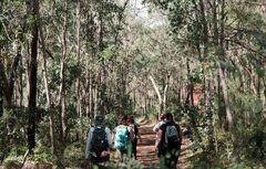 Hike Collective Araluen Guided Walk | Perth Western Australia