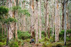 Walk into Luxury - 4 Day Cape to Cape Experience Western Australia | Booking Agent Sightseeing Pass Australia Walk into Luxury on this 4 Day Signature Cape to Cape Walking Tour staying at Injidup Retreat and all meals include. Book online with the local WA experts at Sightseeing Pass Australia today for tours in 2022.