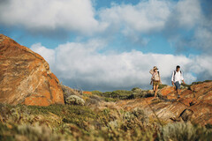 Walk into Luxury - 4 Day Cape to Cape Experience Western Australia | Booking Agent Sightseeing Pass Australia Walk into Luxury on this 4 Day Signature Cape to Cape Walking Tour staying at Injidup Retreat and all meals include. Book online with the local WA experts at Sightseeing Pass Australia today for tours in 2022.