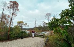 Perth Hills Bickley Valley Walking Experience