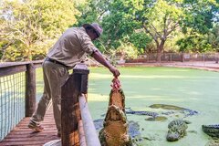 Malcolm Douglas Crocodile Park Tour, Broome Western Australia | Sightseeing Pass Australia on sale now!