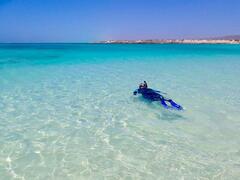 Snorkel Turquoise Bay, Ningaloo, Exmouth, Western Australia, Exmouth Adventure Co, Sightseeing Pass Australia