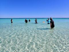 Snorkel Turquoise Bay, Ningaloo in a Day Tour, Exmouth, Western Australia, Exmouth Adventure Co, Sightseeing Pass Australia