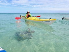 Turtle Ningaloo Coral By Kayak, Exmouth Adventure Co. Sightseeing Pass Australia