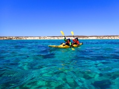Coral By Kayak Tour, Exmouth Adventure Co. Sightseeing Pass Australia