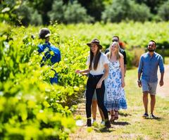 Perth Hills Cider, Wine & Whiskey Tour, Up Close and Personal Tours, Sightseeing Pass Australia