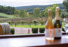 ULTIMATE Perth Hills Wine, Gin & Cider - Full Day Tour, Up Close and Personal Tours, Sightseeing Pass Australia