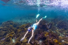 Snorkel Woody Island Eco Tours, Esperance Western Australia, Sightseeing Pass Australia
