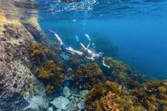Snorkel Woody Island Eco Tours, Esperance Western Australia, Sightseeing Pass Australia