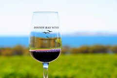 Wine Tasting on 1-Day Coffin Bay Tour, Untamed Escapes, South Australia, Sightseeing Pass Australia 