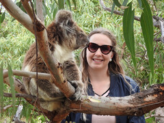 Meet Koalas, 1-Day Port Lincoln Tour, South Australia, Untamed Escapes, Sightseeing Pass Australia